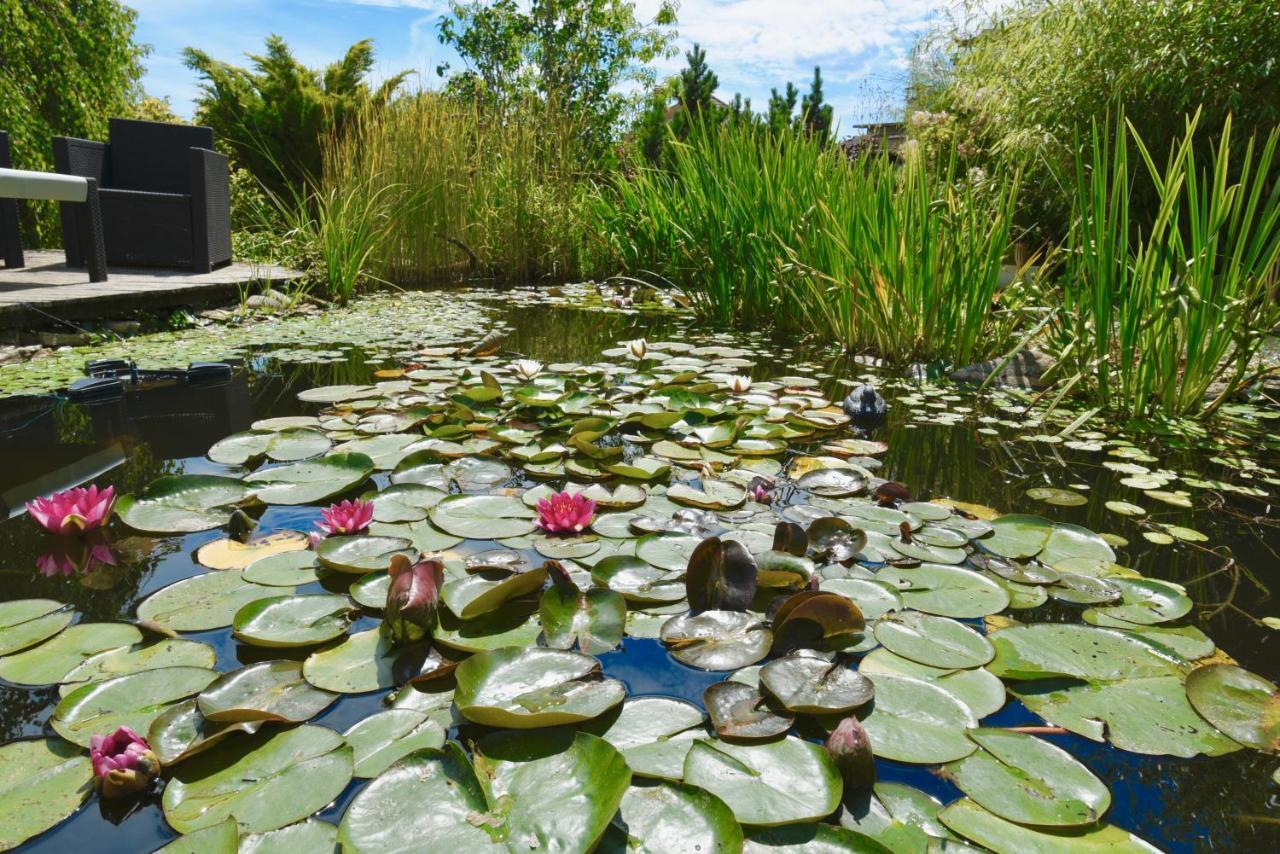 Les Nympheas 52 Bed & Breakfast Orges Luaran gambar